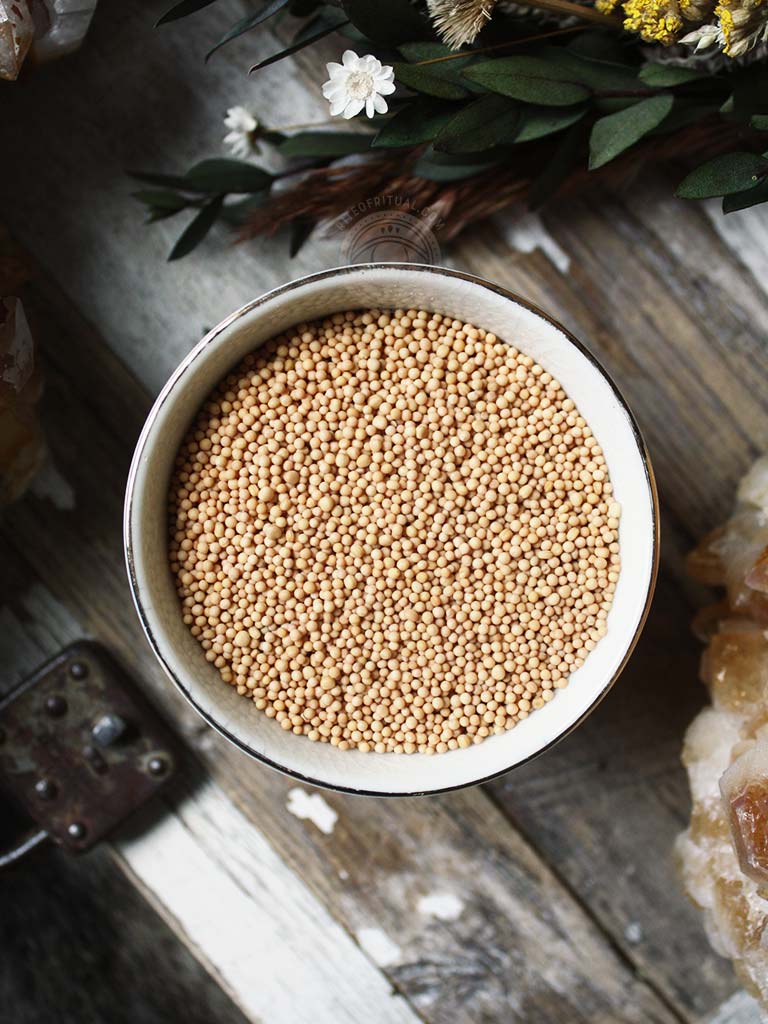 yellow mustard seeds for planting Ritual Herbs - Yellow Mustard Seed