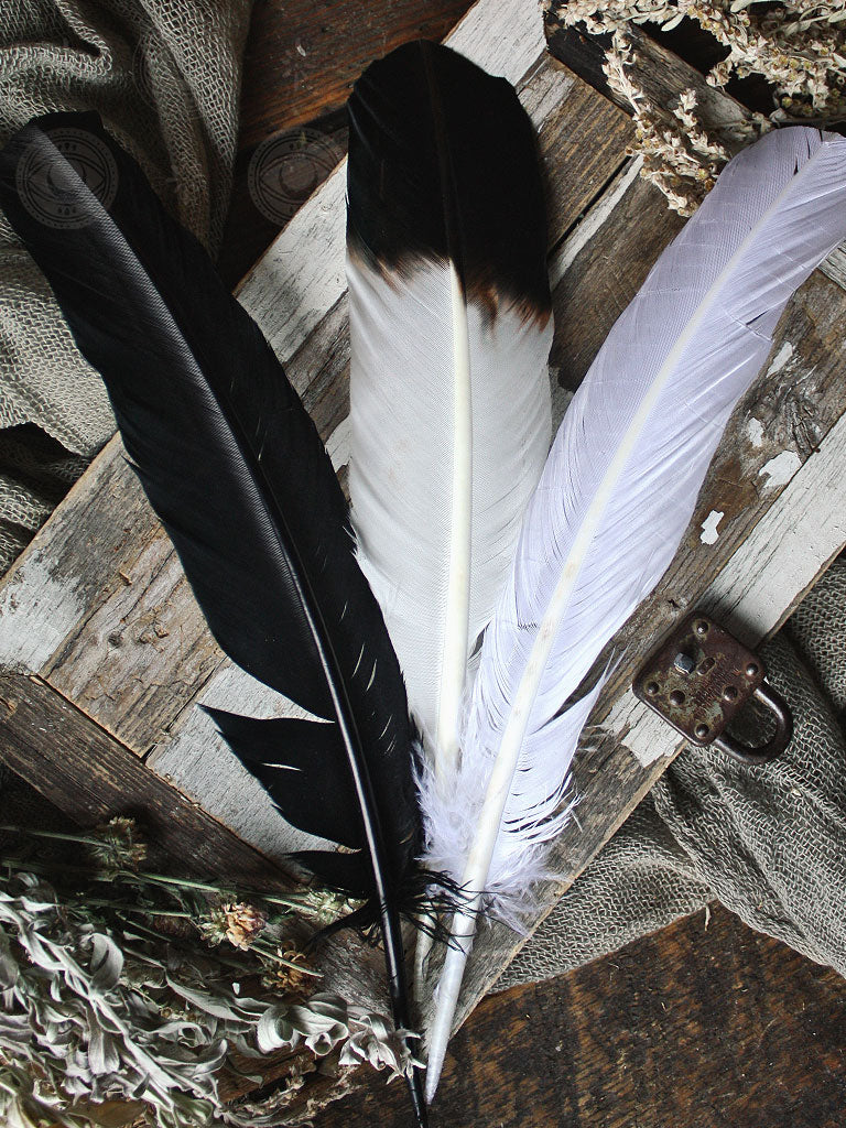 Ritual Use Feathers
