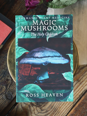 Shamanic Plant Medicine - Magic Mushrooms