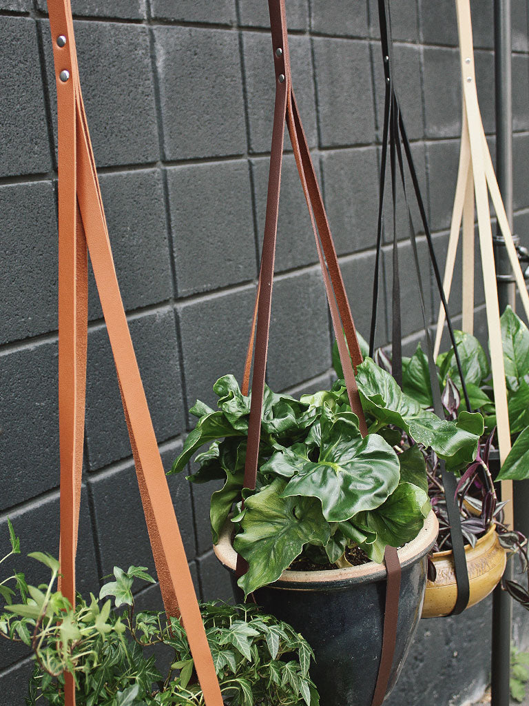 leather hanging plant holder Simply Sweet Vegan Leather Plant Hangers