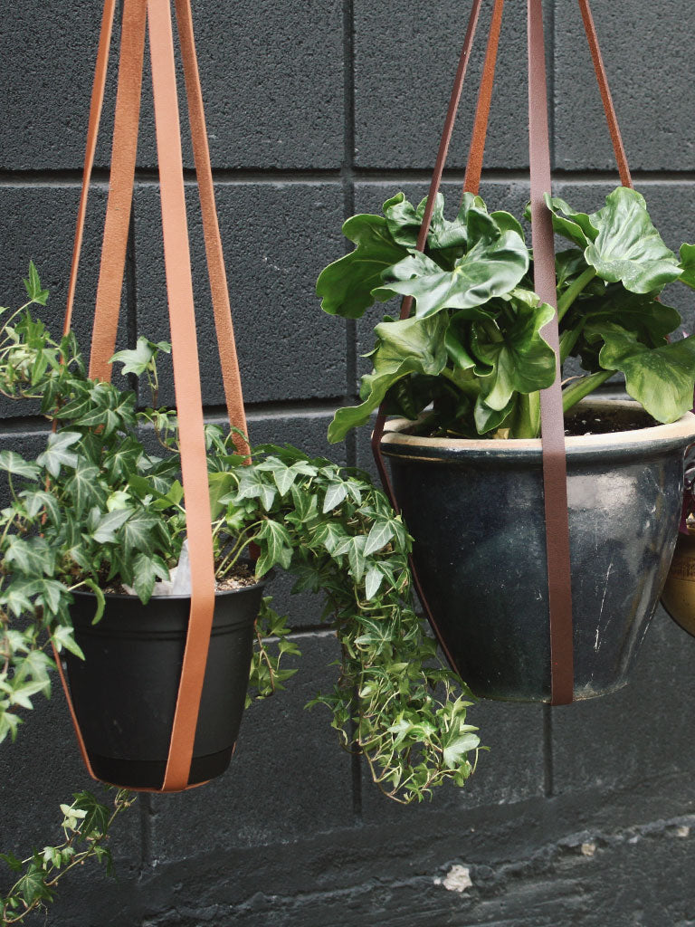 Simply Sweet Vegan Leather Plant Hangers
