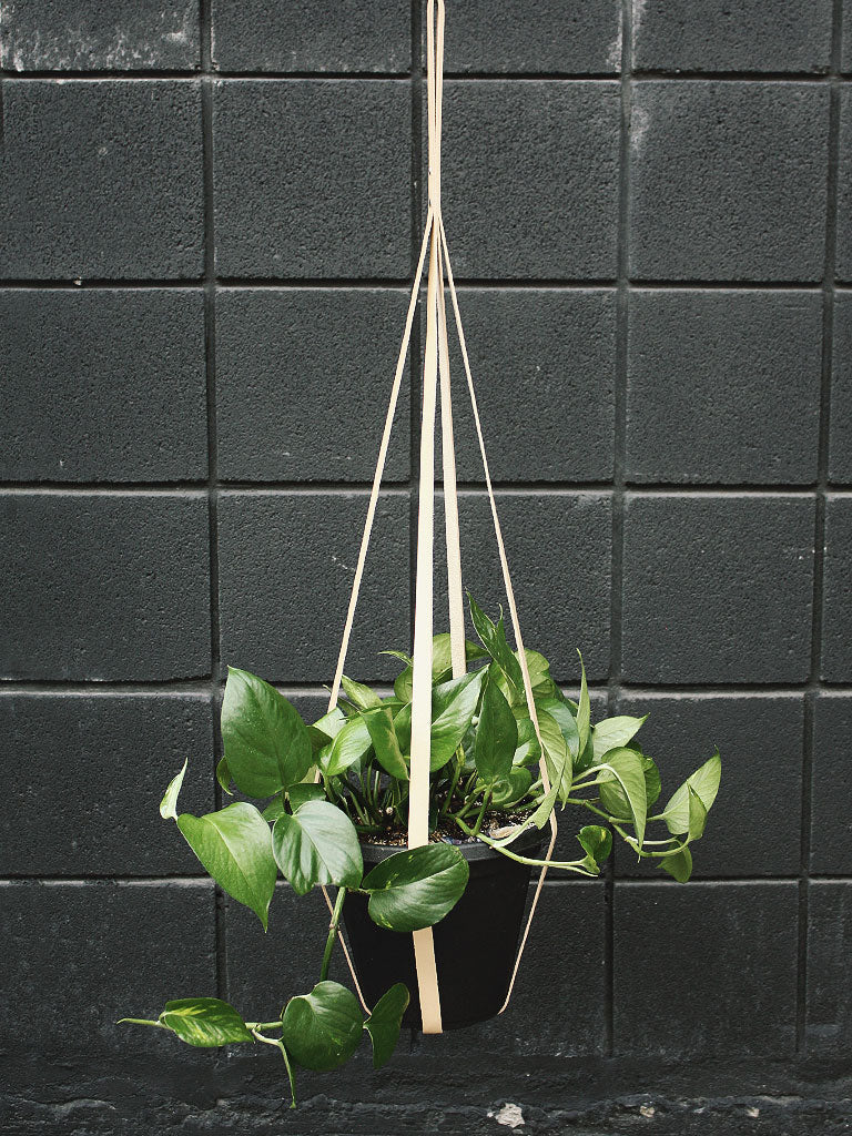 Simply Sweet Vegan Leather Plant Hangers