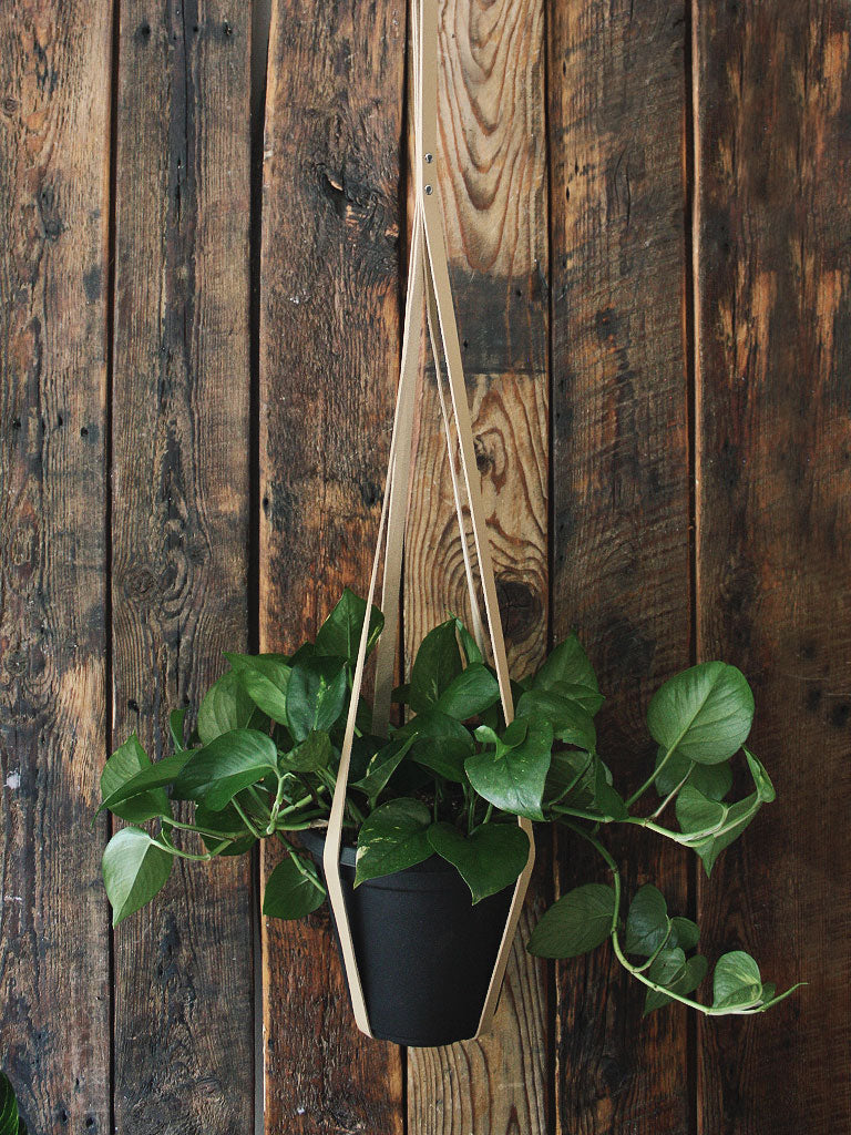 Simply Sweet Vegan Leather Plant Hangers