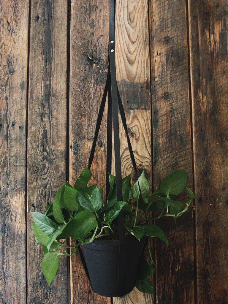 Simply Sweet Vegan Leather Plant Hangers