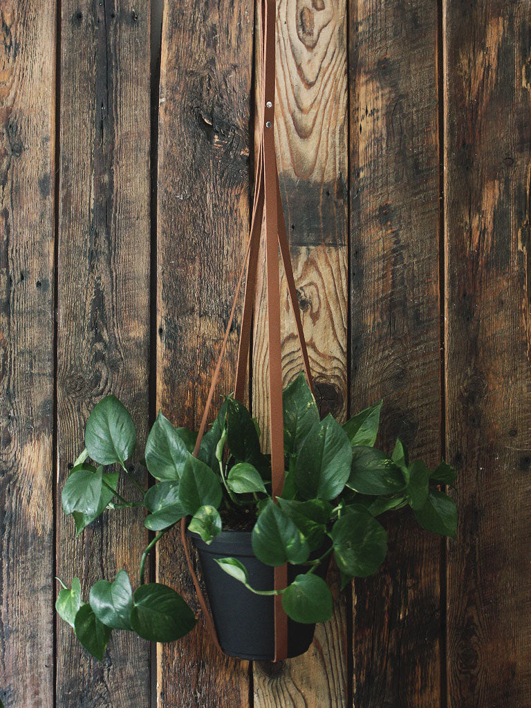 Simply Sweet Vegan Leather Plant Hangers