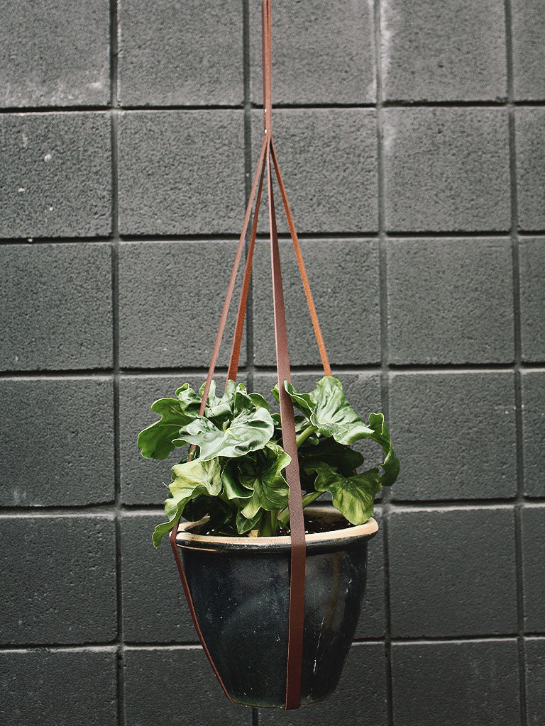 Simply Sweet Vegan Leather Plant Hangers