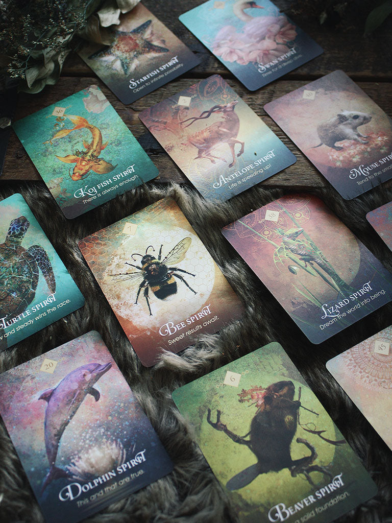 Spirit Animal Oracle Deck