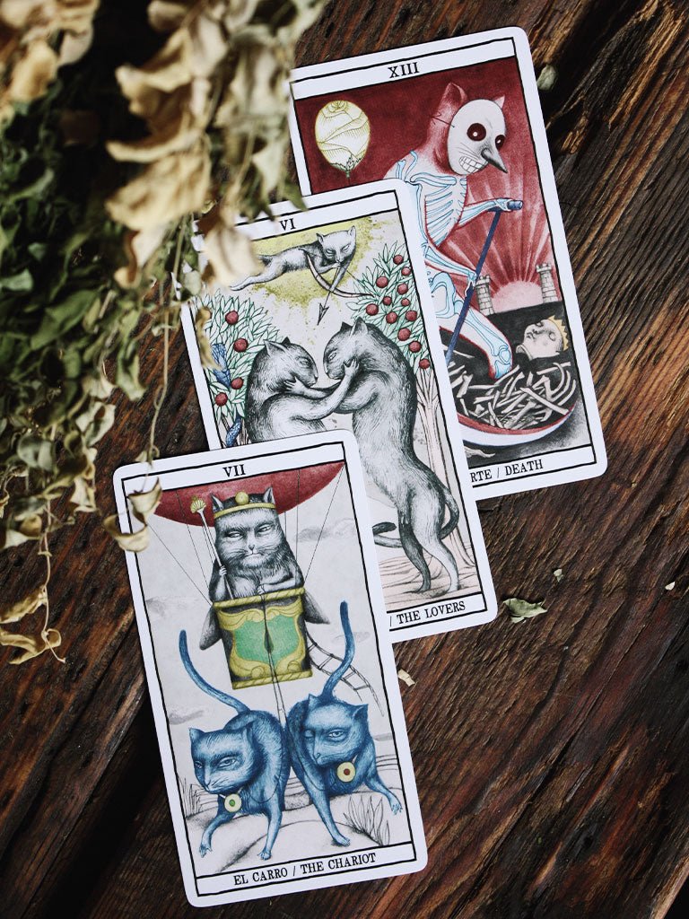 Tarot Cats Deck