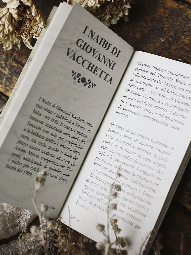 Tarot I Naibi di Giovanni Vacchetta - Anima Antiqua Deck