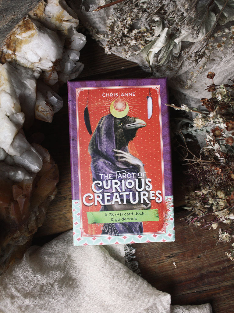 Tarot of Curious Creatures
