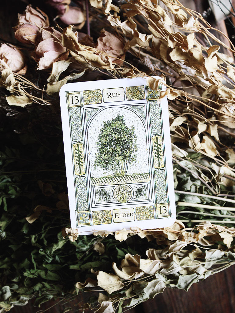 The Celtic Tree Oracle Deck