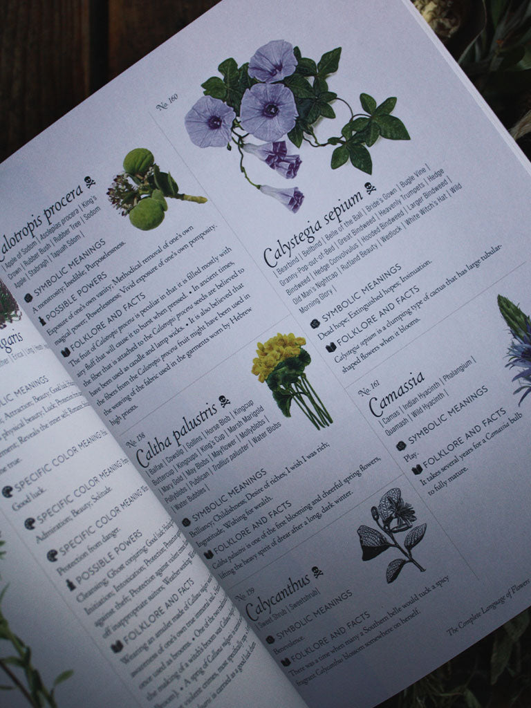 The Complete Language of Flowers