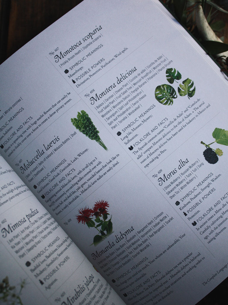 The Complete Language of Flowers