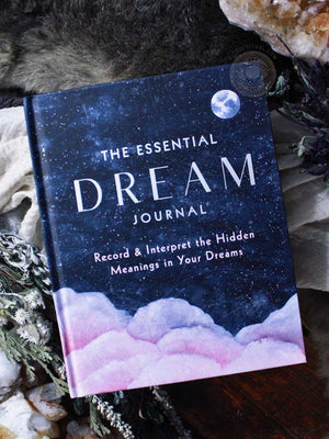 The Essential Dream Journal