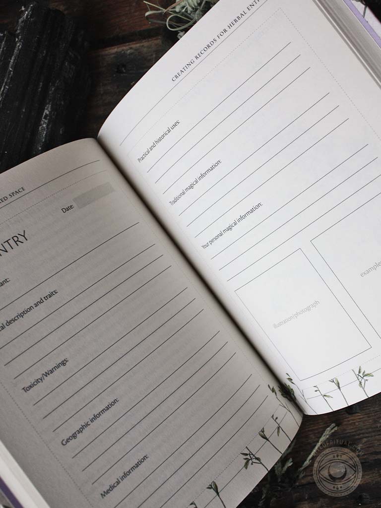 The Green Witch's Garden