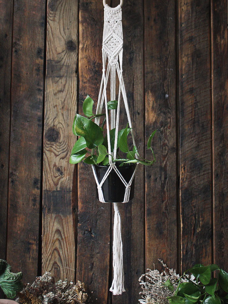 The Green Witch's Macrame Plant Hangers