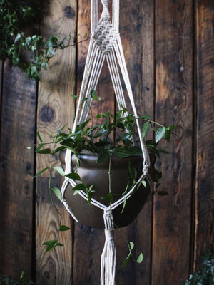 The Green Witch's Macrame Plant Hangers - Style 11