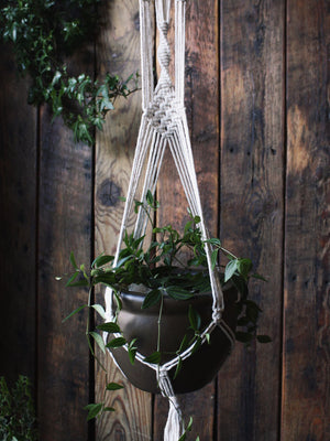 The Green Witch's Macrame Plant Hangers - Style 11