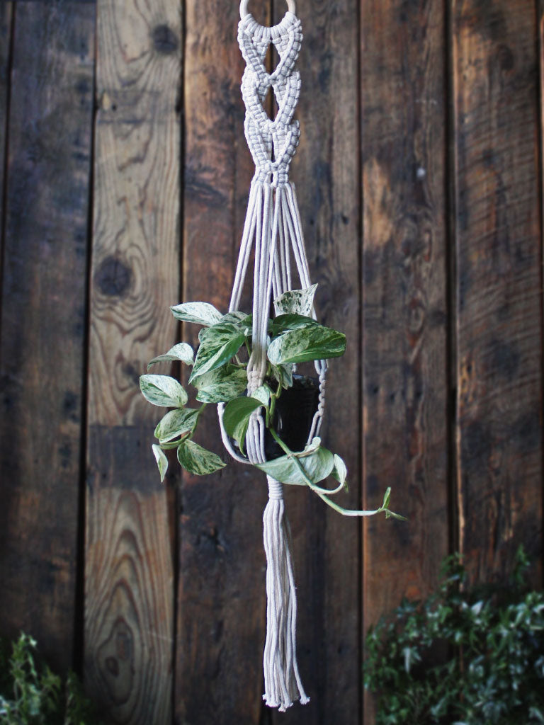 macrame plant hanger styles The Green Witch's Macrame Plant Hangers - Style 12