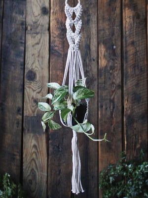 The Green Witch's Macrame Plant Hangers