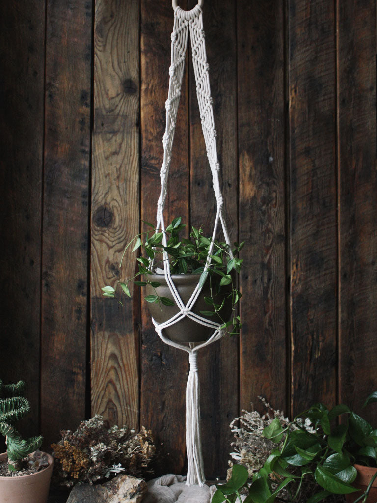 The Green Witch's Macrame Plant Hangers - Style 14