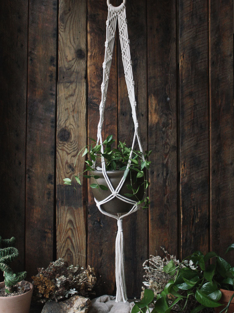 The Green Witch's Macrame Plant Hangers