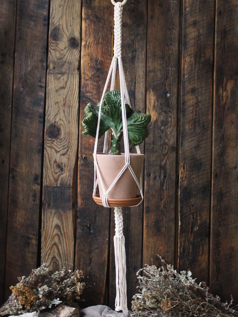 The Green Witch's Macrame Plant Hangers - Style 15