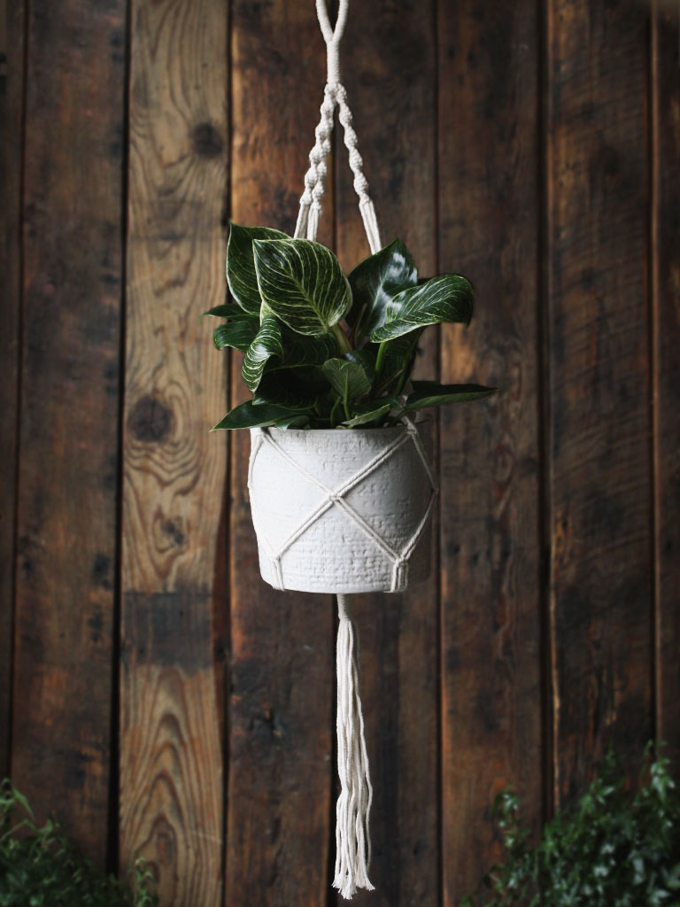 The Green Witch's Macrame Plant Hangers