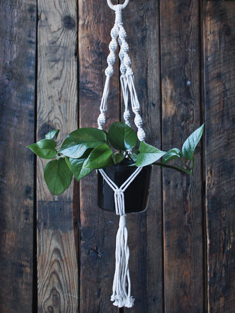 The Green Witch's Macrame Plant Hangers