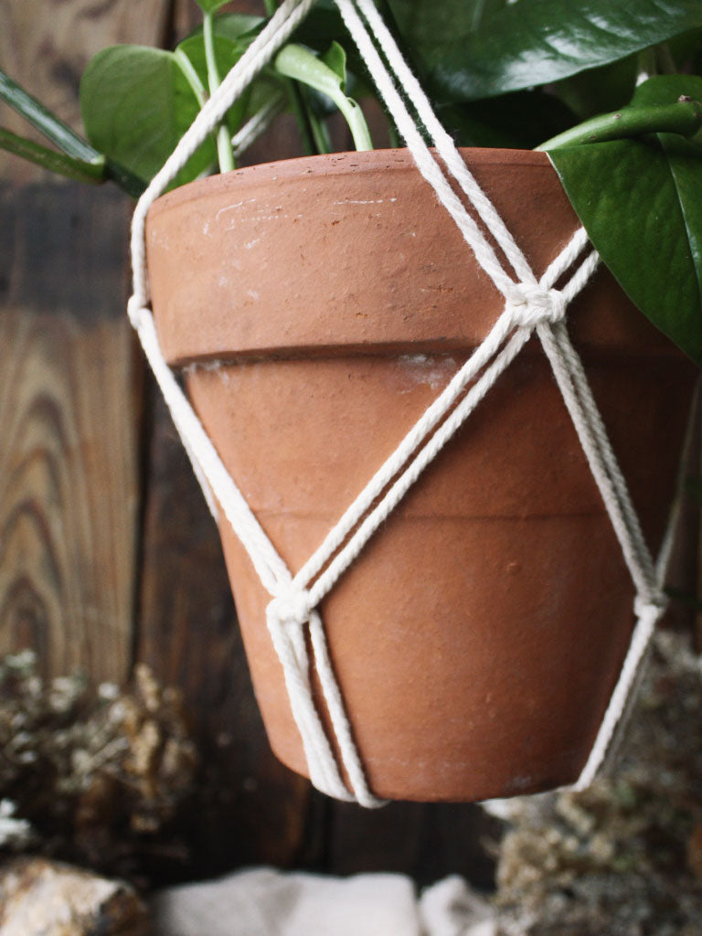 The Green Witch's Macrame Plant Hangers - Style 18