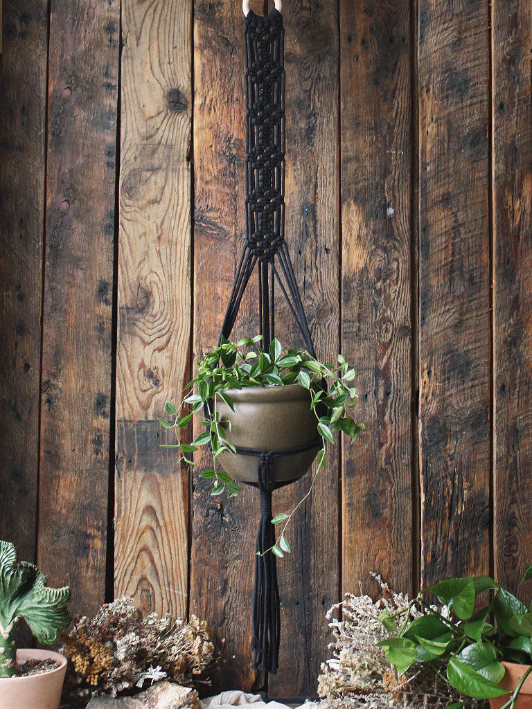 The Green Witch's Macrame Plant Hangers