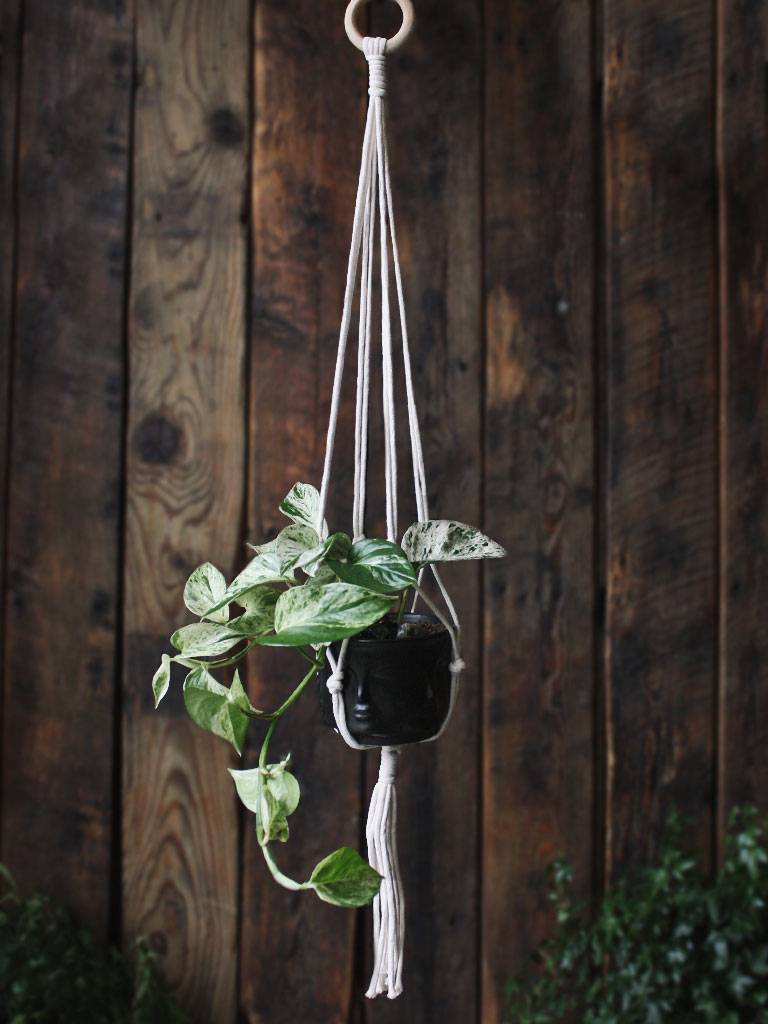 The Green Witch's Macrame Plant Hangers - Style 20