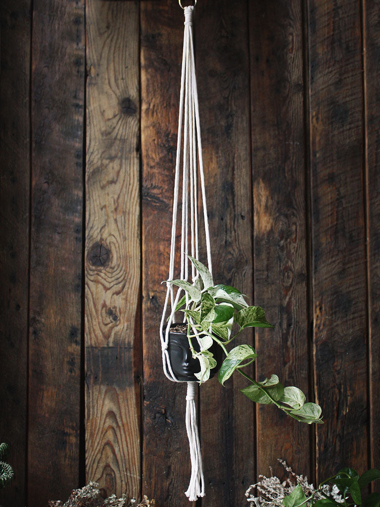The Green Witch's Macrame Plant Hangers - Style 21
