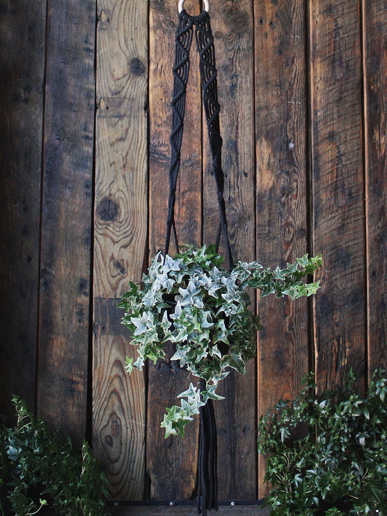 The Green Witch's Macrame Plant Hangers - Style 3