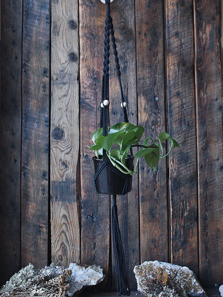 The Green Witch's Macrame Plant Hangers - Style 4