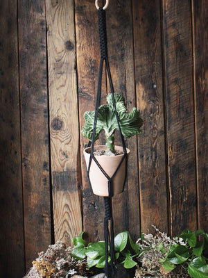 The Green Witch's Macrame Plant Hangers - Style 5