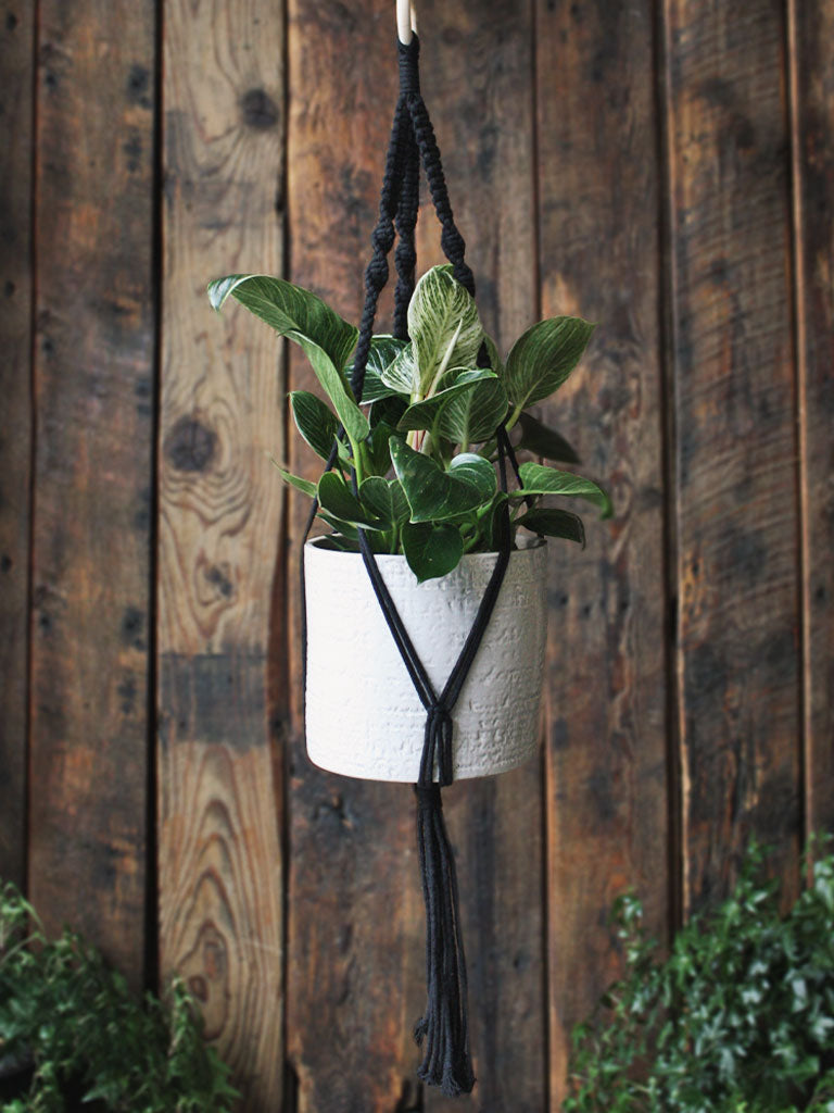 macrame plant hanger nz The Green Witch's Macrame Plant Hangers - Style 6