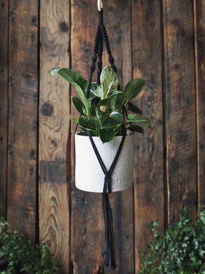The Green Witch's Macrame Plant Hangers