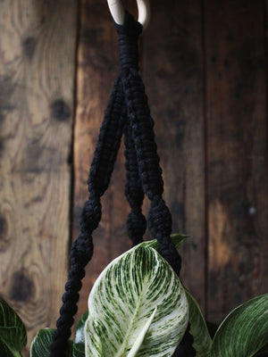 The Green Witch's Macrame Plant Hangers - Style 6