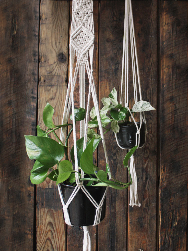 The Green Witch's Macrame Plant Hangers