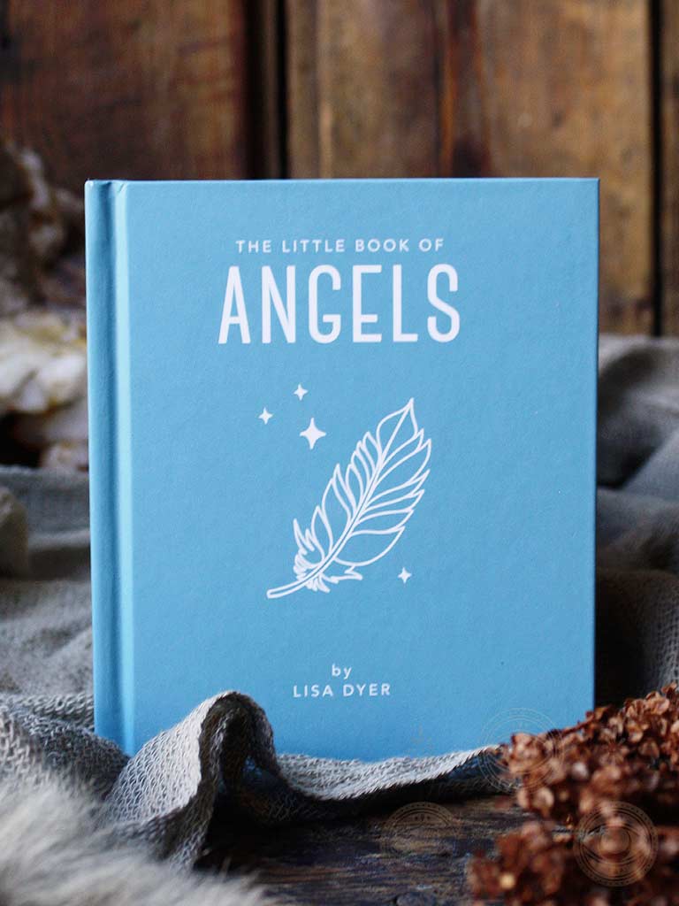 The Little Book of Angels By Lisa Dyer