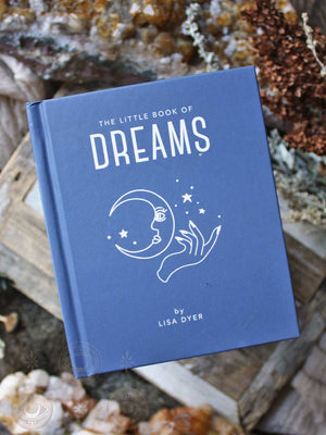 The Little Book of Dreams By Lisa Dyer