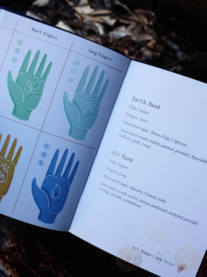 The Little Book of Palm Reading