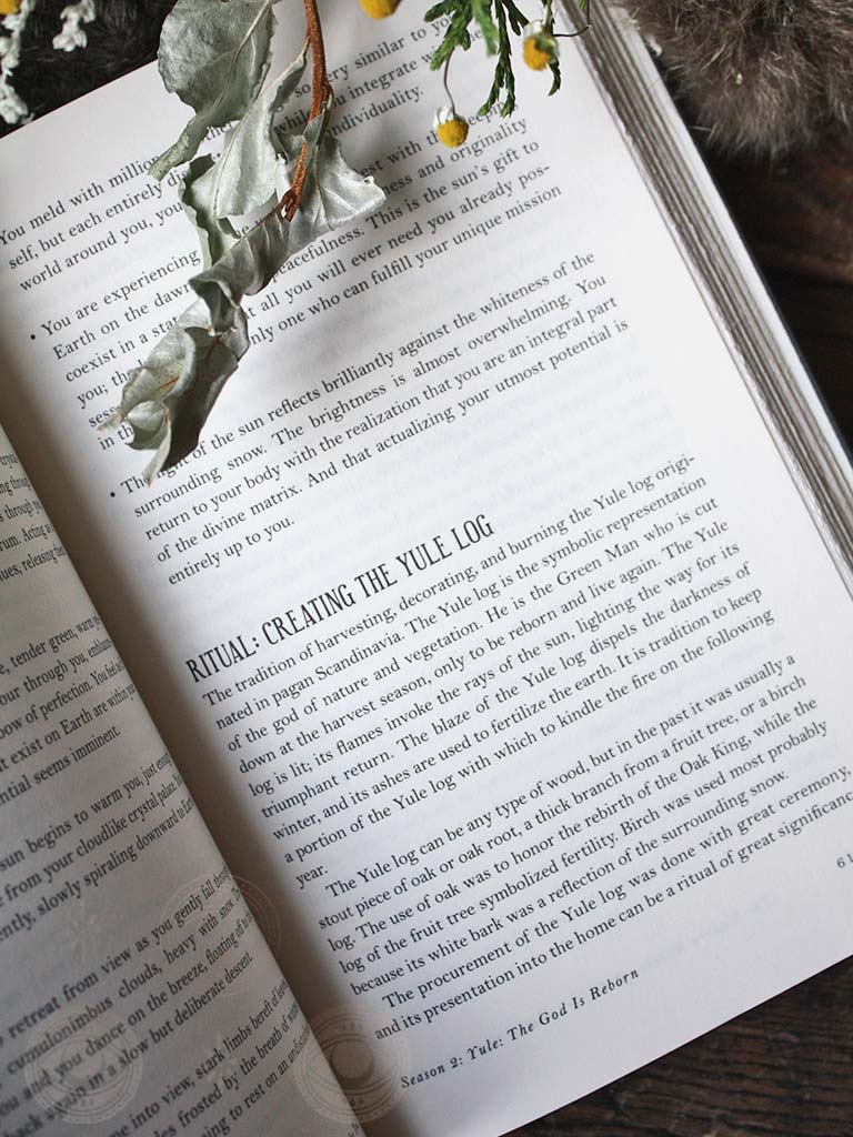 Modern Witchcraft Guide to the Wheel of the Year