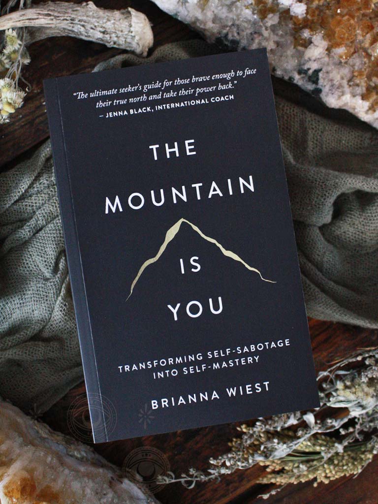 The Mountain Is You - Transforming Self-Sabotage Into Self-Mastery