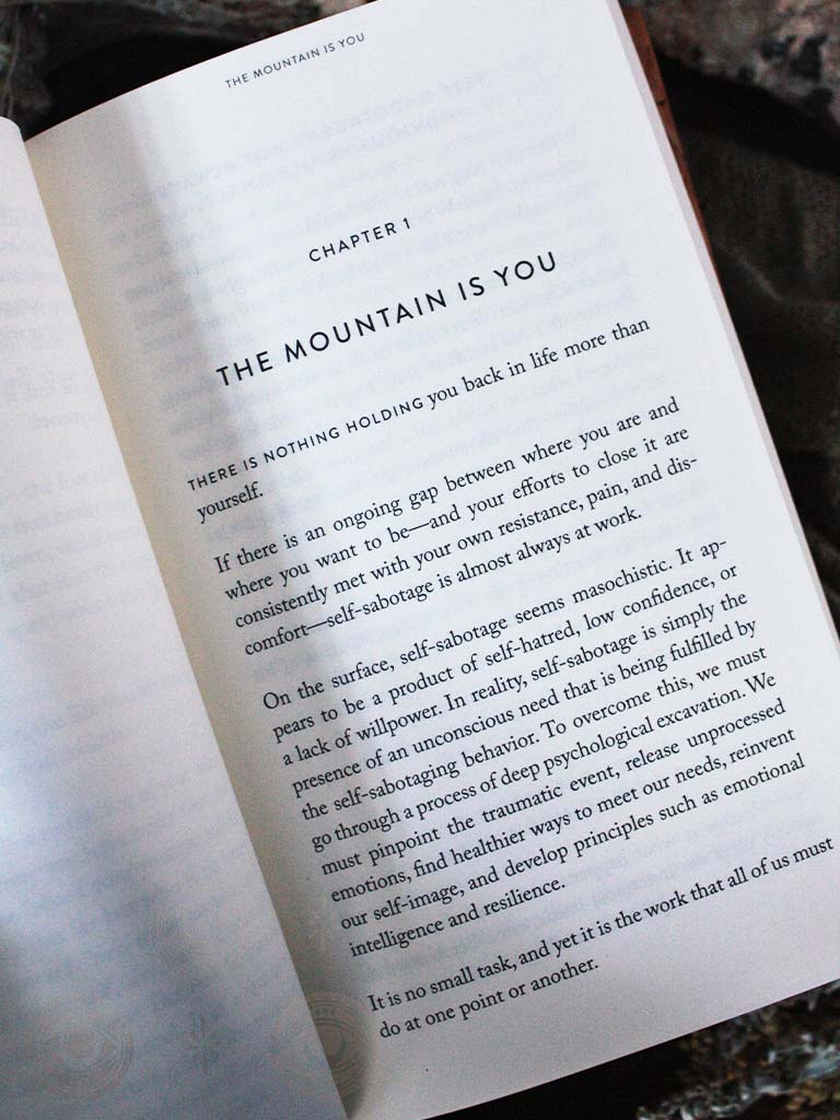 The Mountain Is You - Transforming Self-Sabotage Into Self-Mastery
