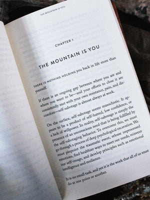 The Mountain Is You - Transforming Self-Sabotage Into Self-Mastery