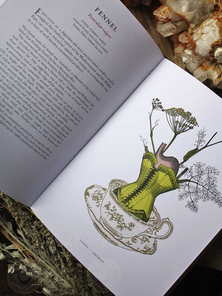 The Physick Garden - Ancient Cures for Modern Maladies