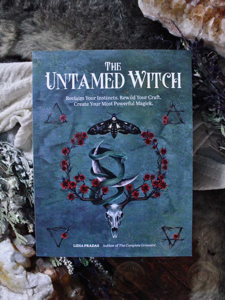The Untamed Witch