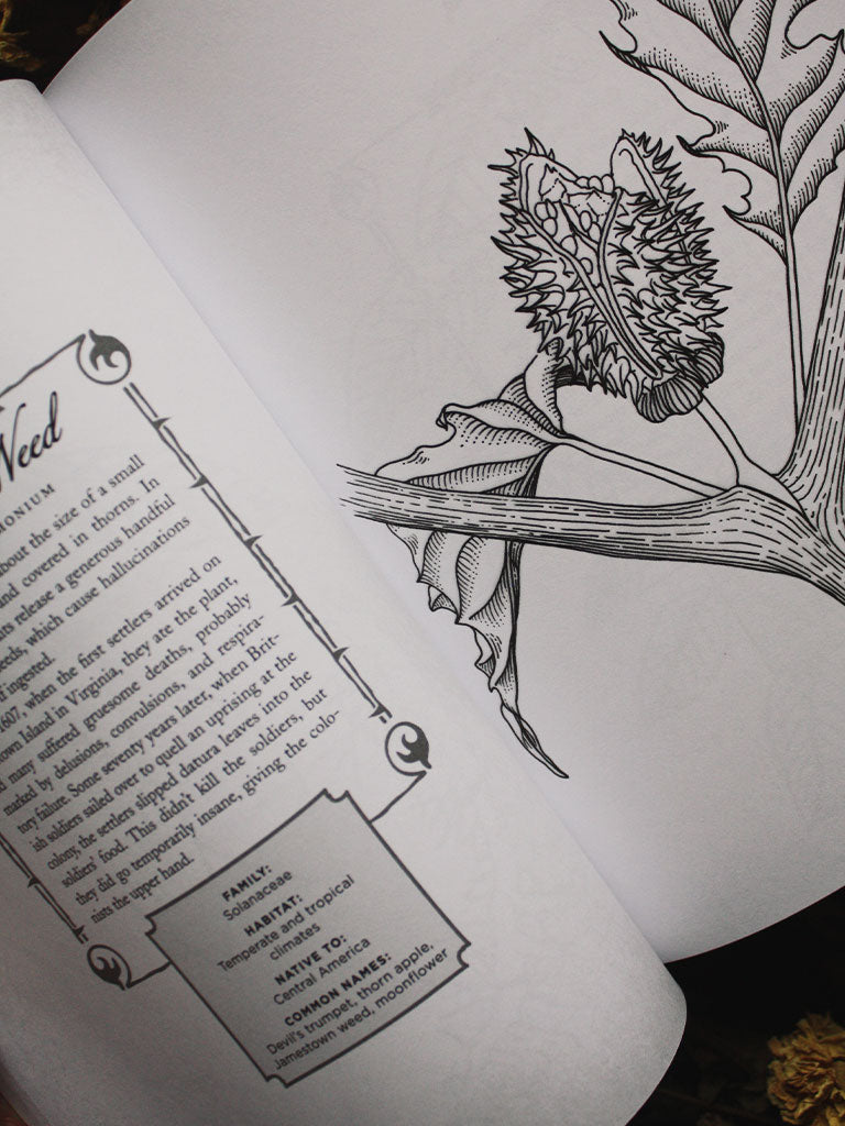 The Wicked Plants Coloring Book - Rite of Ritual
